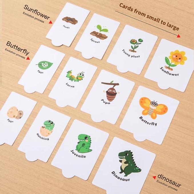 Montessori Wooden Animal Growth Process Puzzle Toy for Kids