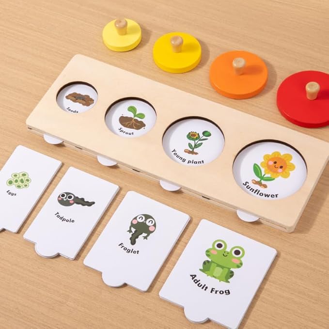 Montessori Wooden Animal Growth Process Puzzle Toy for Kids