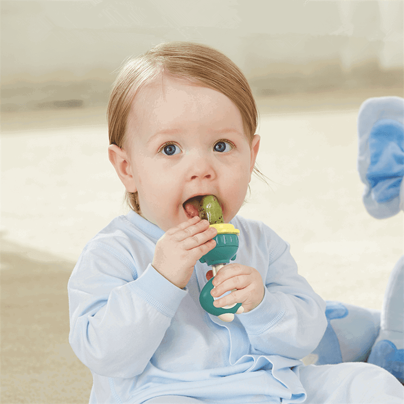 BBET Baby Silicone Fruit Feeder/Pacifier - BPA - Free - Twisoo