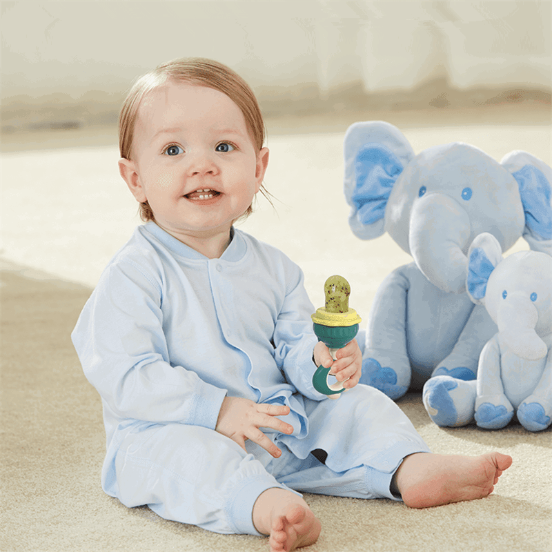 BBET Baby Silicone Fruit Feeder/Pacifier - BPA - Free - Twisoo