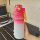 Chiobbe Stainless Steel Water Bottle for Office Use - High Quality - Twisoo